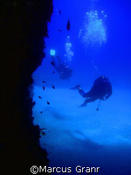 This shot was taken on the island of Gozo, at a dive site... by Marcus Granr 